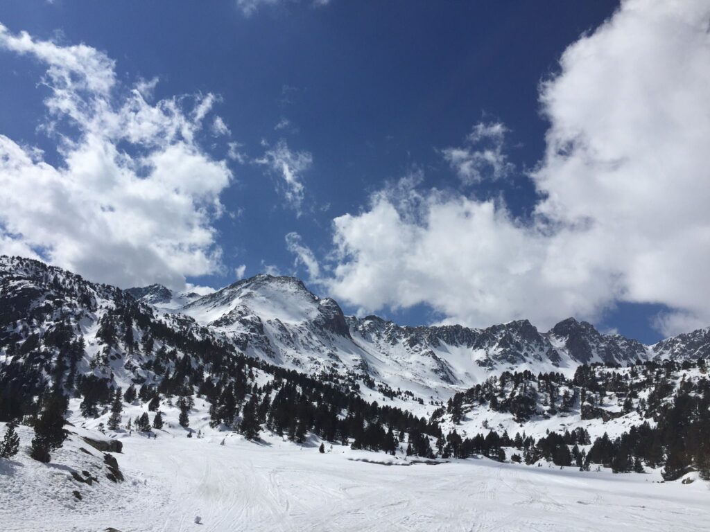photo 2026 05 05 22 44 15